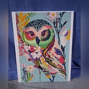 Colorful Owl Diamond Painting